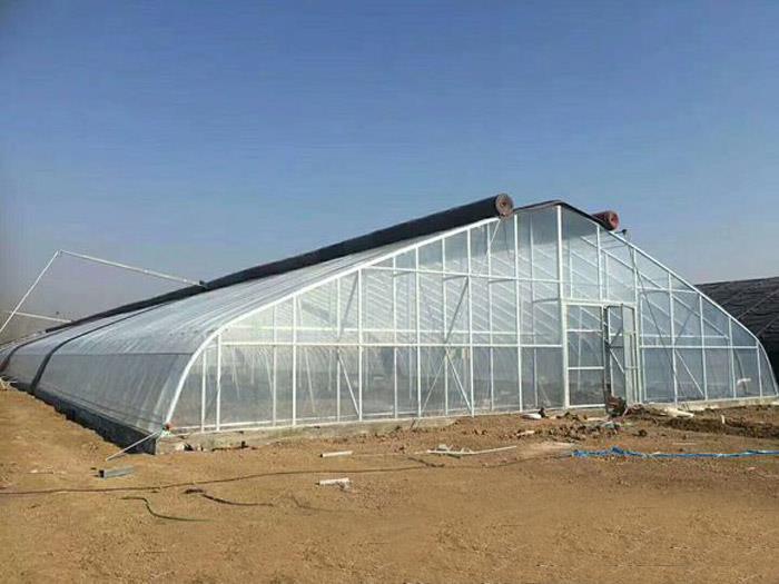 新型温室大棚造价 新型温室大棚造价