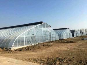 新型温室大棚在现代农业生产中的优势